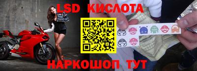 spice Малгобек