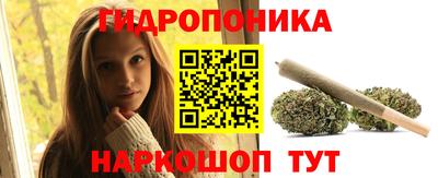 мдпв Мариинск