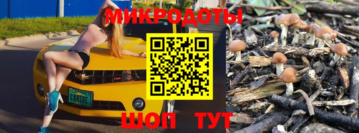 Галлюциногенные грибы Psilocybine cubensis Елизово