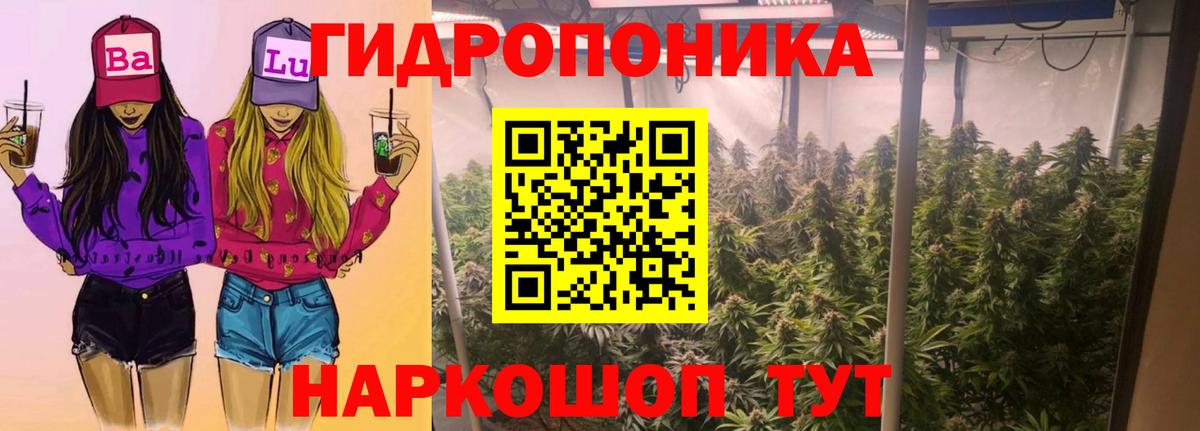 Каннабис семена  Каннабис ГИДРОПОН  Конопля THC 21%  Вход с VPN  Конопля планчик  Елизово 